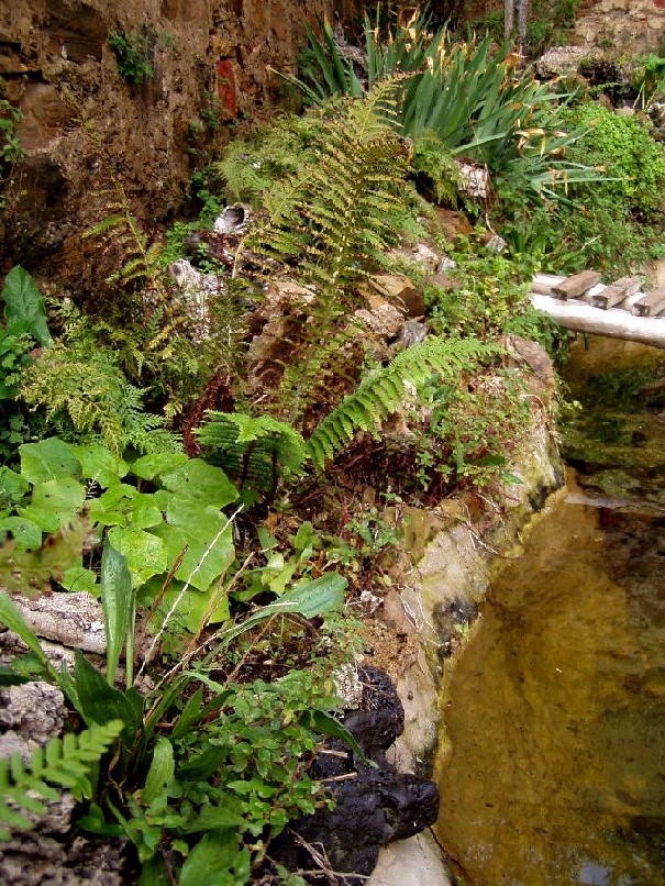 Il Laghetto del Centro di Entomologia - Piombino (LI)